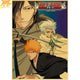 Diamond Dust Rebellion Poster - Bleach™