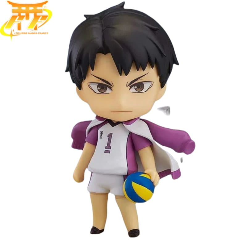 Nendoroid Ushijima Figuur - Haikyuu™