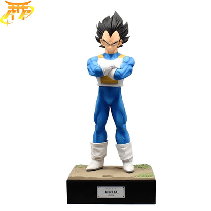 Prince Vegeta Figuur - Dragon Ball Z™