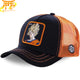 Super Goku Pet - Dragon Ball Z™