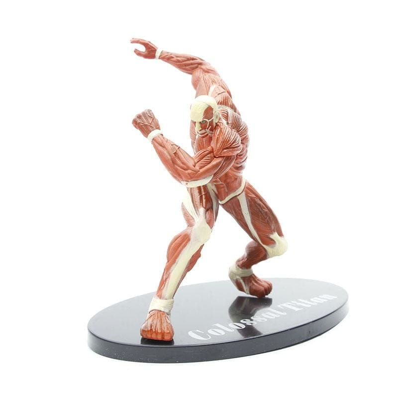 Titan Colossal Figuur - Attack on Titan™