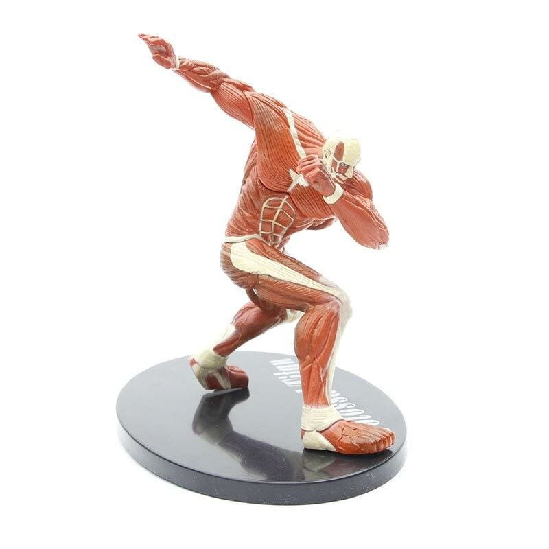 Titan Colossal Figuur - Attack on Titan™