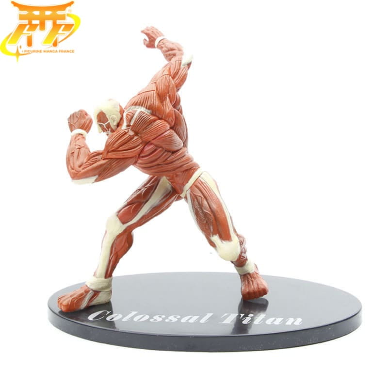 Titan Colossal Figuur - Attack on Titan™