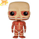 Titan Colossal Pop Figuur - Attack on Titan™