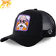 Tortue Genial Pet - Dragon Ball Z™