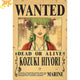 Wanted Hiyori Poster - One Piece™