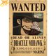 Wanted Mihawk Poster - One Piece™