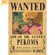 Wanted Pekoms Poster - One Piece™