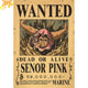 Wanted Senor Pink Poster - One Piece™