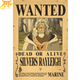 Wanted Silver Rayleigh Poster - One Piece™