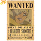 Wanted Smoothie Poster - One Piece™