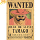 Wanted Tamago Poster - One Piece™